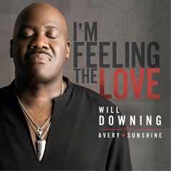 Will Downing Feat. Avery Sunshine - I'm Feeling The Love (Radio Edit)