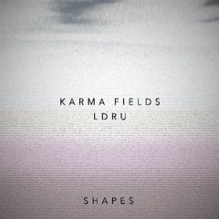 Karma Fields // LDRU | Shapes