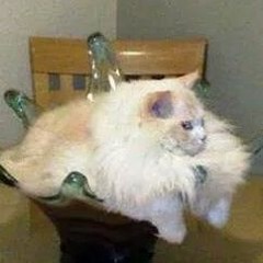 MEOW MiXES VOL 2: Gemini