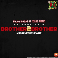 Episode 23.5: Brother2Brother (with Binnie)