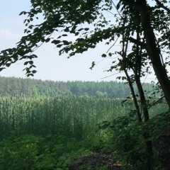 Eric Wong & Johnny Chang