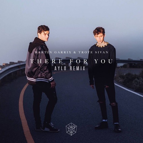 Martin Garrix - There For You (Aylo Remix)