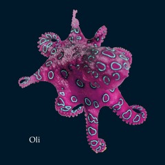 Oli the Octopus
