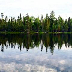 Bird Song and Waves Lapping the Lakeshore -- Boundary Waters