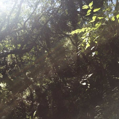 Late Summer (prod. LXCCA)
