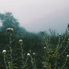 over after again , isnt it ?