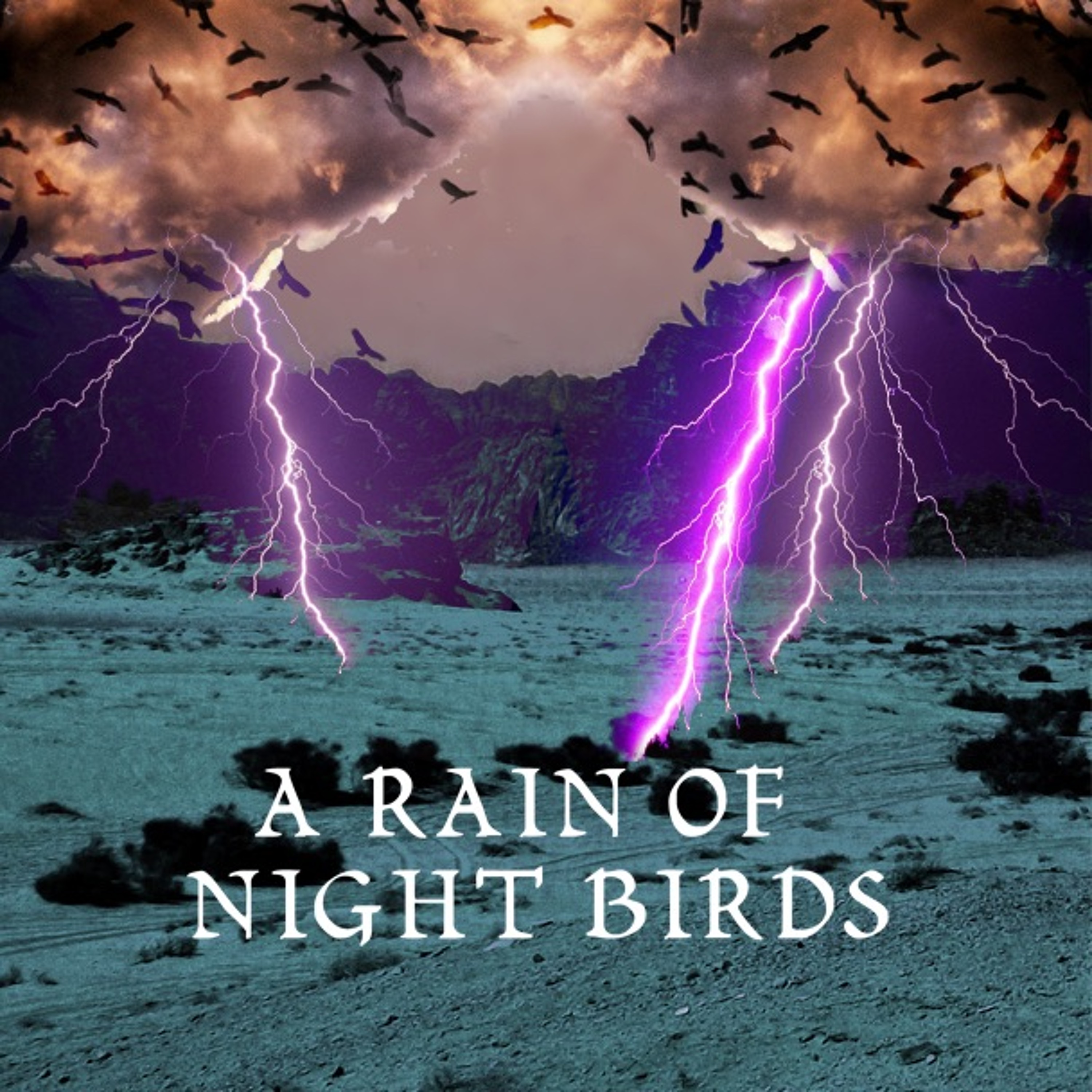 Rare Bird Radio