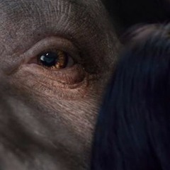 OKJA