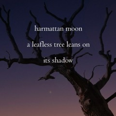 harmattan moon (Naviarhaiku 185)