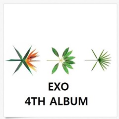 EXO - Walk On Memories Split Audio