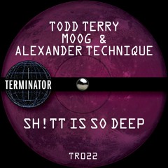 Todd Terry, Moog, Alexander Technique - Sh!tt Is So Deep
