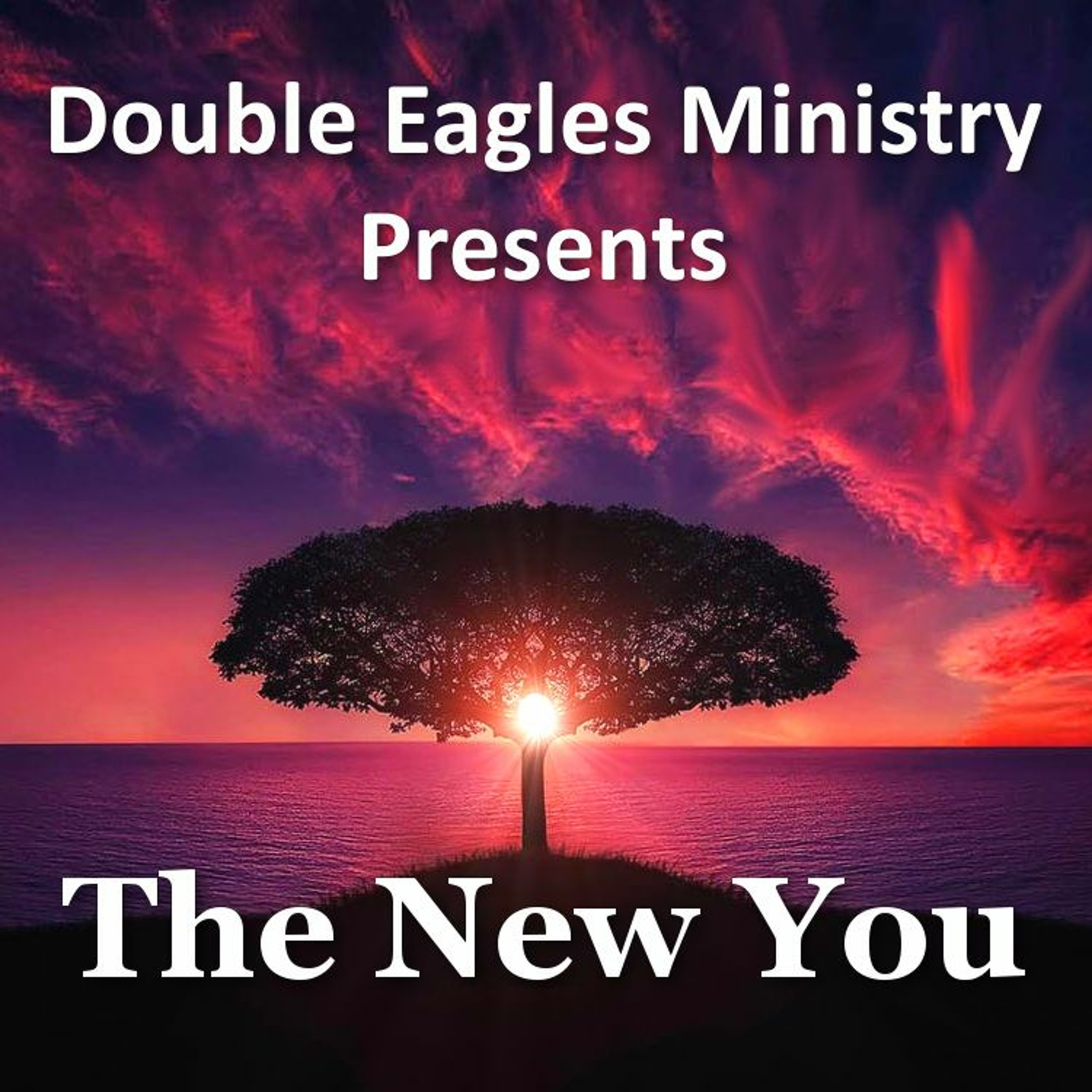 The New You - Final episode artwork