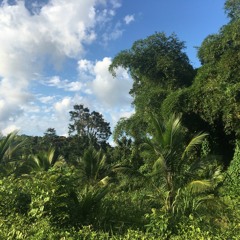 CUL8R! - Allan Kingdom + Finding Novyon + Drelli prod. Danny TV