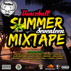 Summer17 Dancehall Mixtape | Skavenga Sound