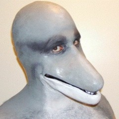 Dolphin Dance