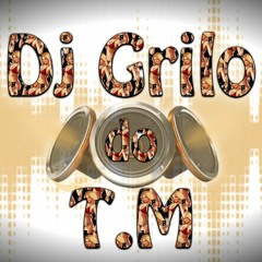 MC URUBUZINHO PIQUE ESQUISITO ( DJ GRILO DO T.M ) 2017