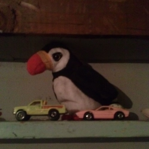 I'm Getting Tired of Your Clown Car Antics