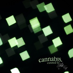 cannabis.