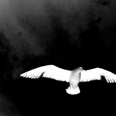 I Think You're Different Now