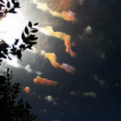 True Colors