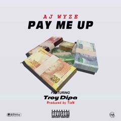 AJ Wyze - Pay Me Up (ft Troy Dipa) (prod. By TiaN)