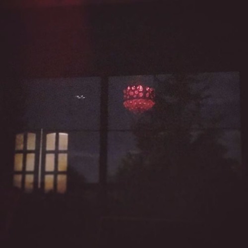 In Madness Lies Sanity