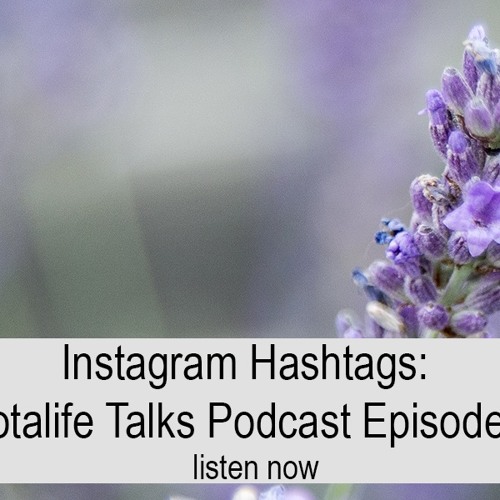 Instagram Hashtags : Photalife Talks Episode 26