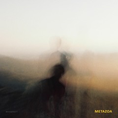 Kompakt 17
