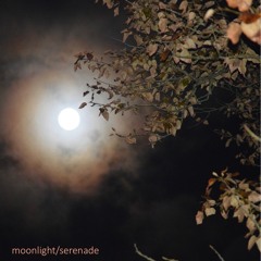 moonlight/serenade