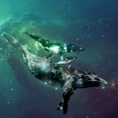 Whale Dream