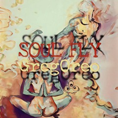 Soul Fly (prod. by urban nerd beats)