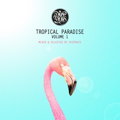 Tropical Paradise Mixes