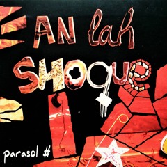 Ils Ont Volés Mon Accordéon