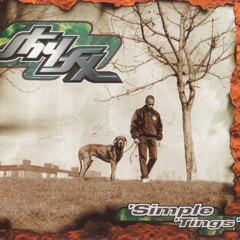 Jungle / Raggacore