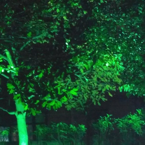 p o l t e r g e i s t         DL ENABLED