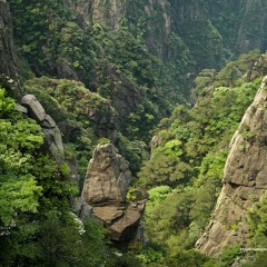 LSD Funk - LeYétiFonceD