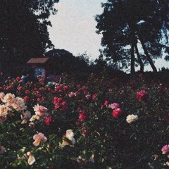 SLUM HAZY - Lookin' Prod. Cxdy