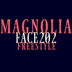 Face202 - MAgnolia (remix)