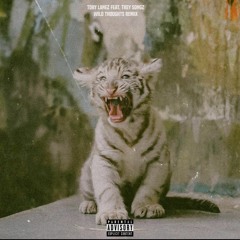 Tory Lanez - Wild Thoughts Feat. Trey Songz