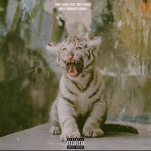 Tory Lanez Wild Thoughts Feat Trey Songz By Supreme Tory lanez playing with money. tory lanez wild thoughts feat trey