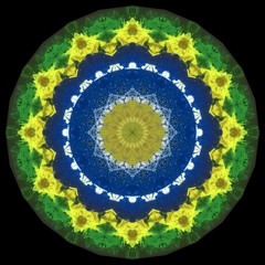Samba e Pagode - Authentic Brazilian music
