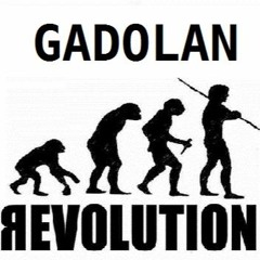 Gadolan - Revolution