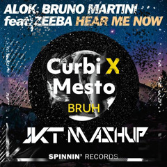 Alok Vs Mesto, Curbi - Her Me Now Vs BRUHH (JECKT Mashup)