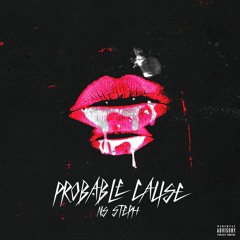 Probable Cause (Prod. by PaulCabbin)