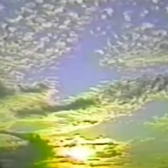 日没の散歩