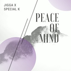 JIGGA X SPECIAL K - PEACE OF MIND (PROMO DUB)
