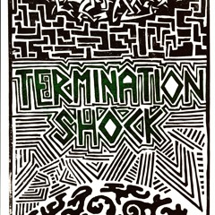 TERMINATION SHOCK 4 - What the Hell is This Doohickey?