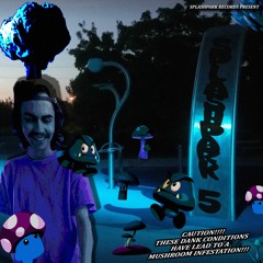 SPLASHPARK 5 (EXTRA DANK FOR THE SUMMER EDITION)