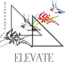 Elevate