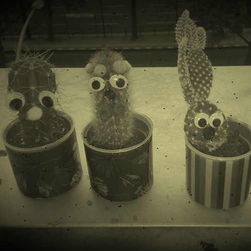 The New Stoff Domino